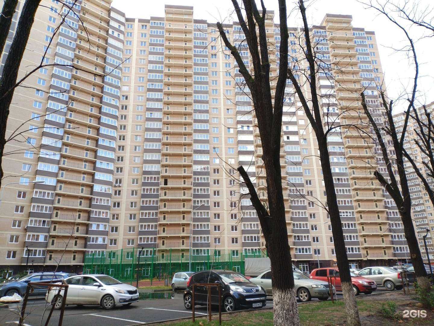 Отзывы на компанию Zveruga.net в Краснодаре c фото