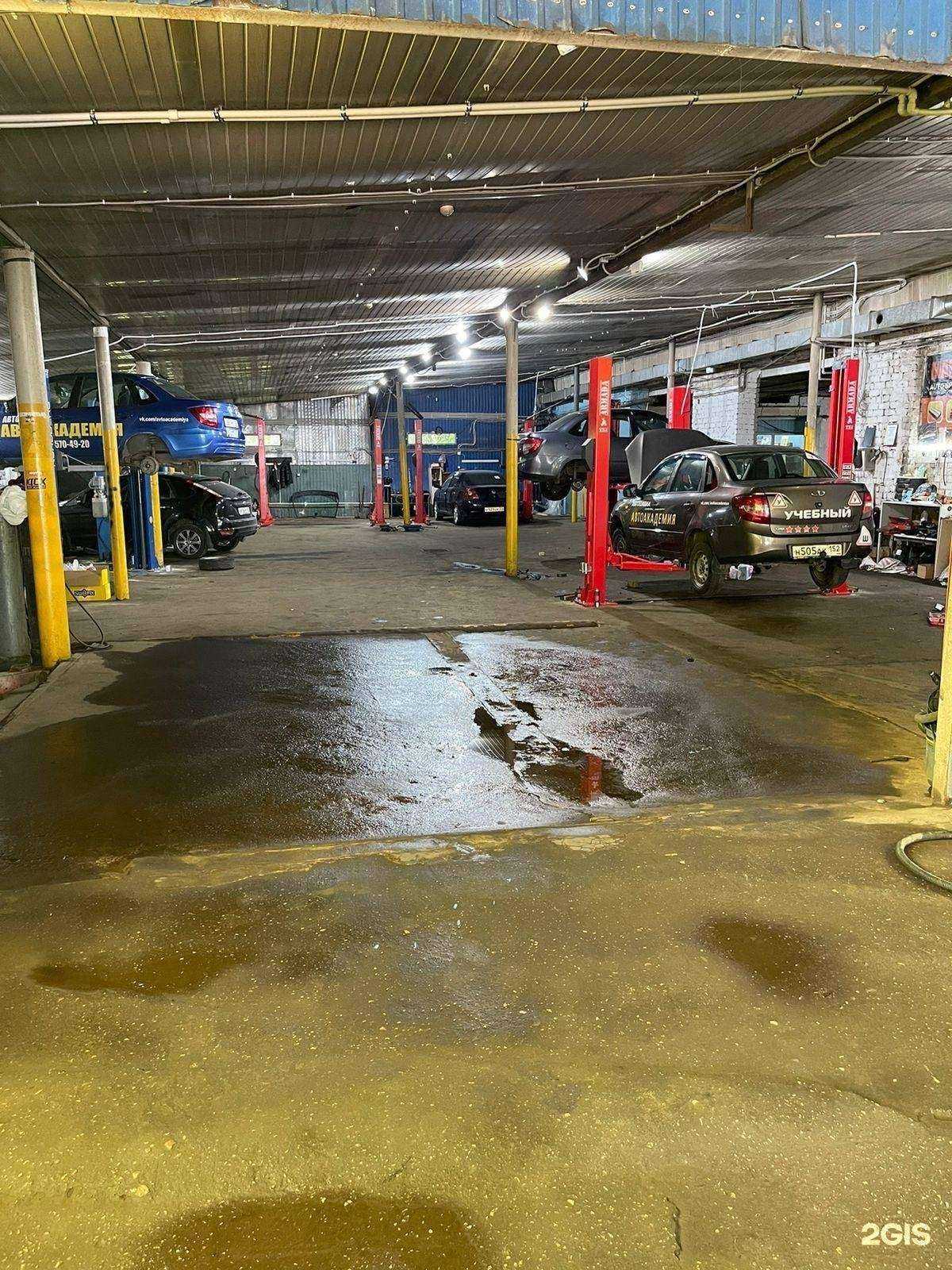 Отзывы на компанию Мишки Гамми в Нижнем Новгороде c фото