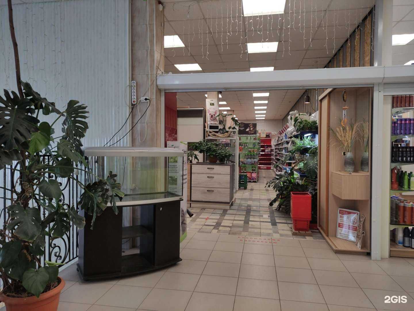 Отзывы на компанию Друзья в г. Химки c фото