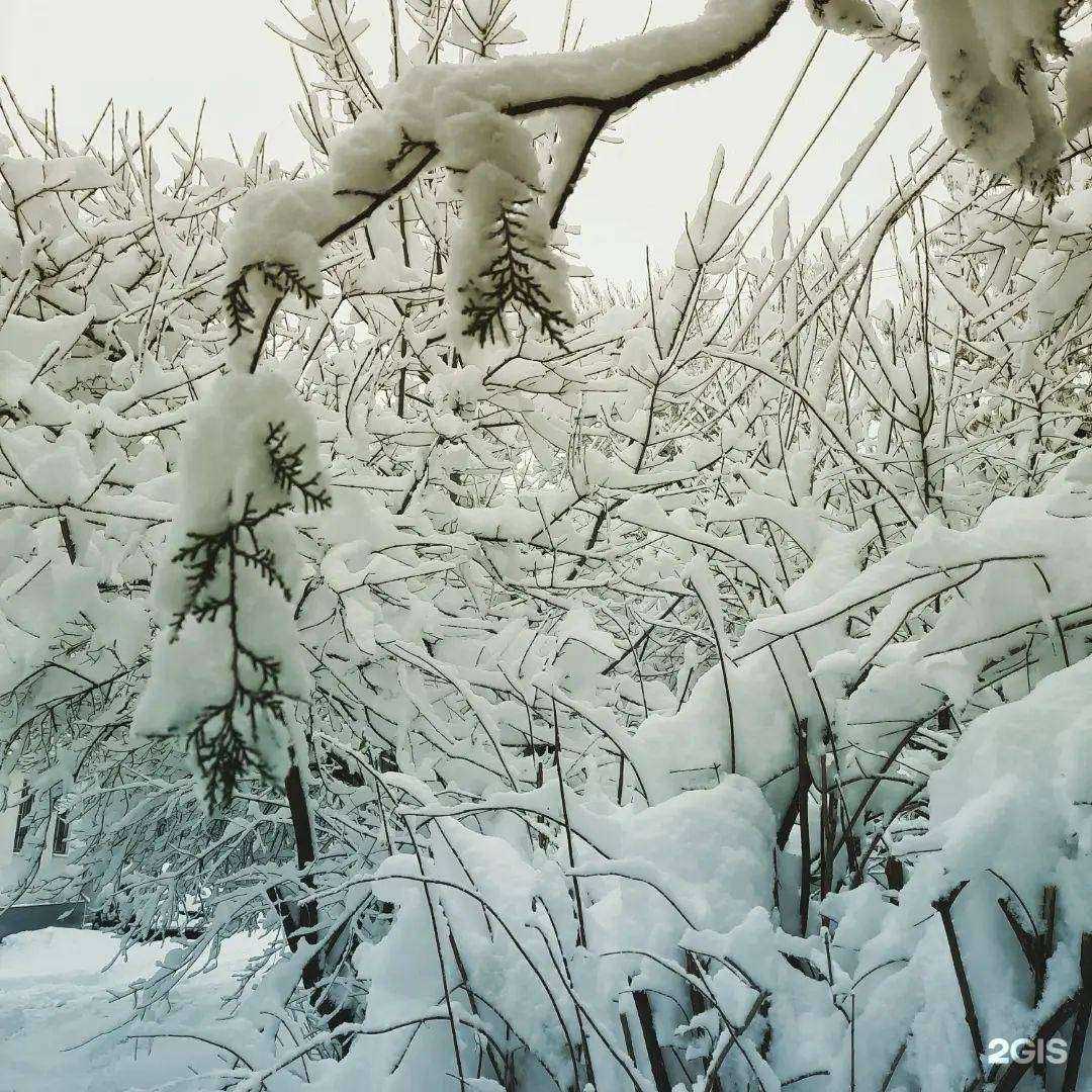 Отзывы на компанию Детская поликлиника №2 в Краснодаре c фото