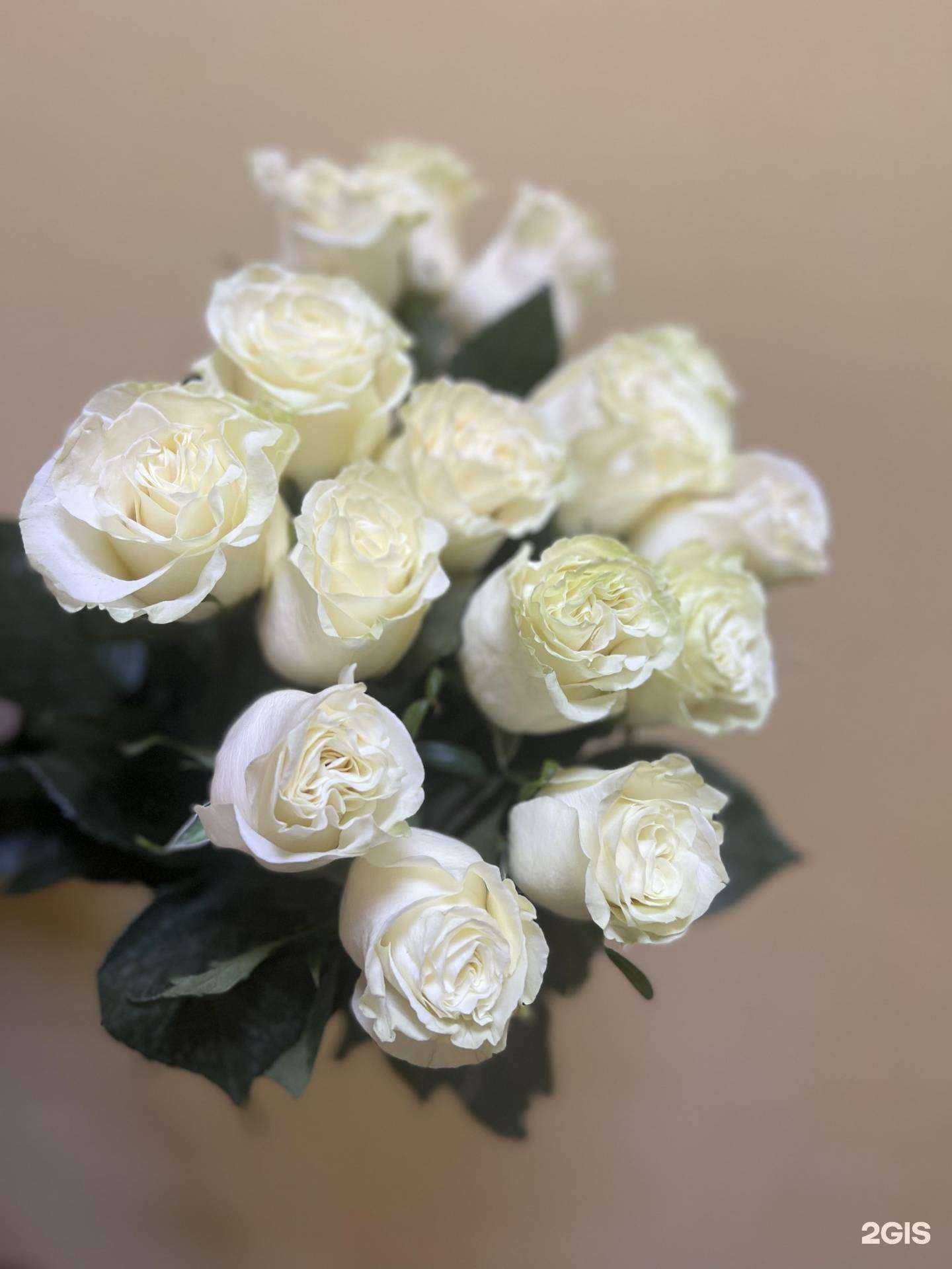 Отзывы на компанию Империя роз в г. Чита c фото