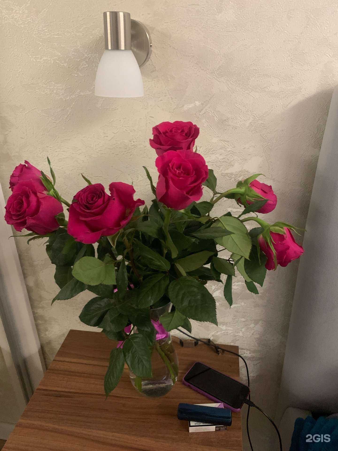 Отзывы на компанию Анна в Новосибирске c фото