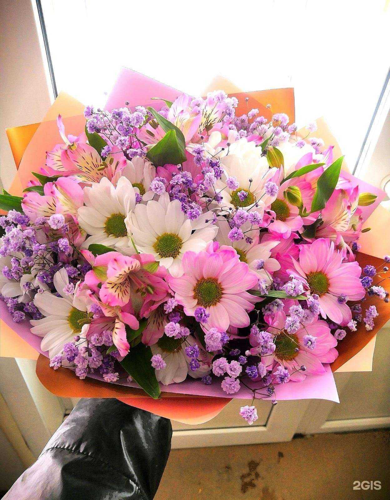 Отзывы на компанию 22 в Барнауле c фото