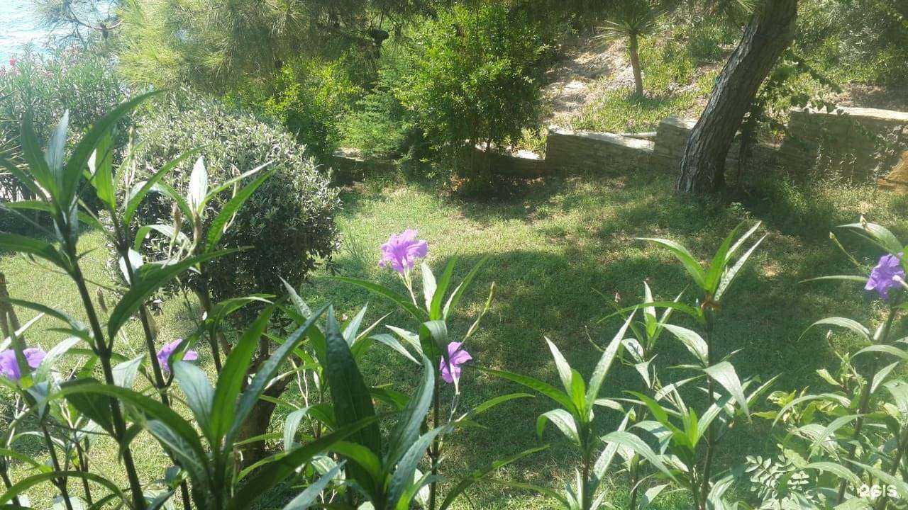 Отзывы на компанию Mare Mio в Екатеринбурге c фото