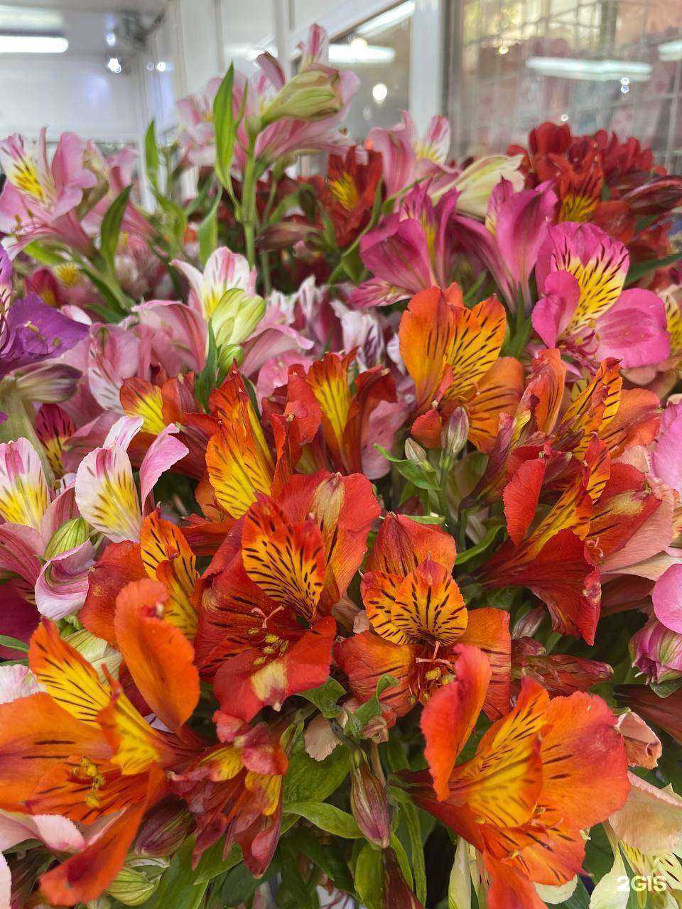 Отзывы на компанию Жасмина в г. Томск c фото