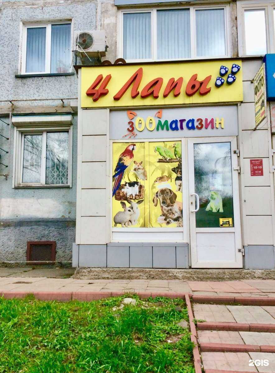 Отзывы на компанию 4 лапы в г. Новокузнецк c фото