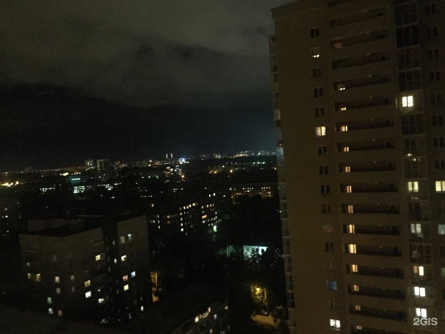 Отзывы на компанию Зоомагазин №1 в Казани c фото - фотография 2 из 2