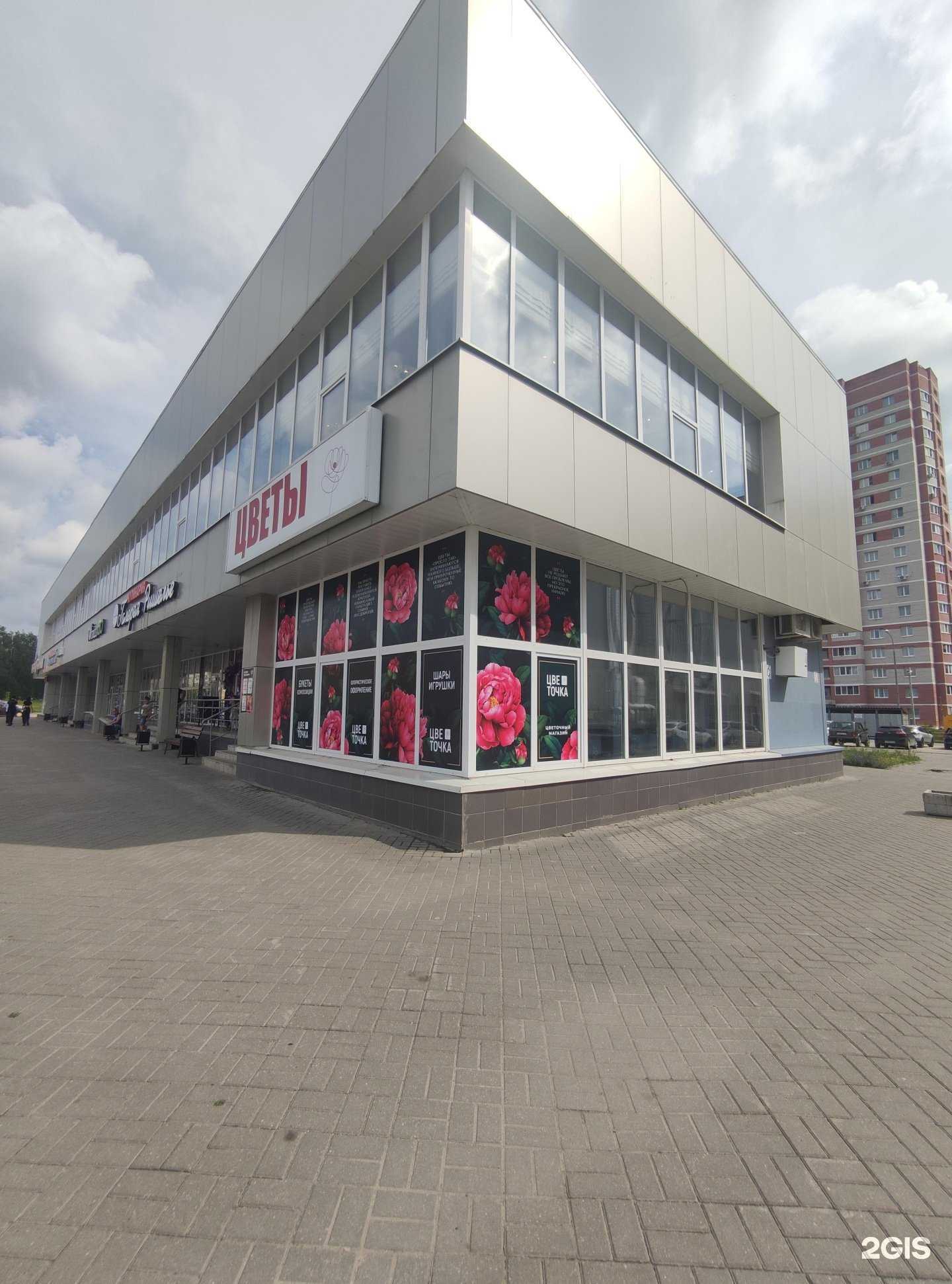 Отзывы на компанию Дентал-сервис в Коврове c фото - фотография 2 из 2