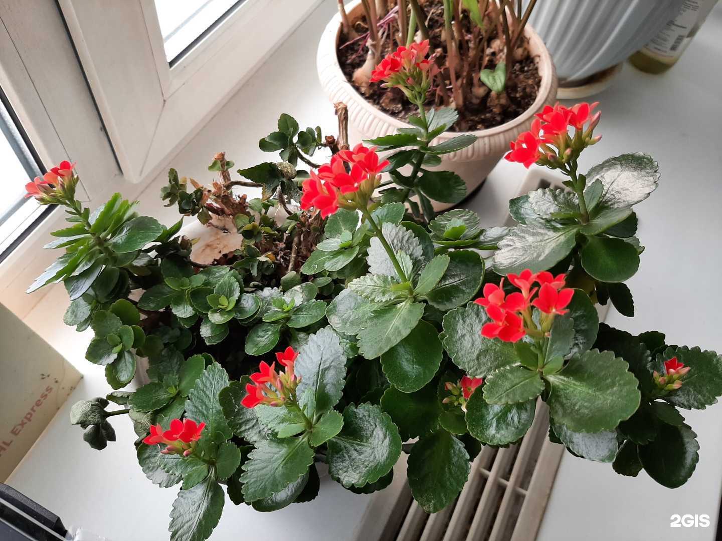 Отзывы на компанию Вита в Перми c фото