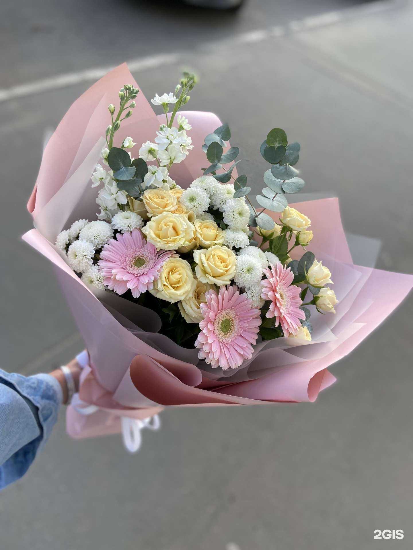 Отзывы на компанию Provence в Орле c фото