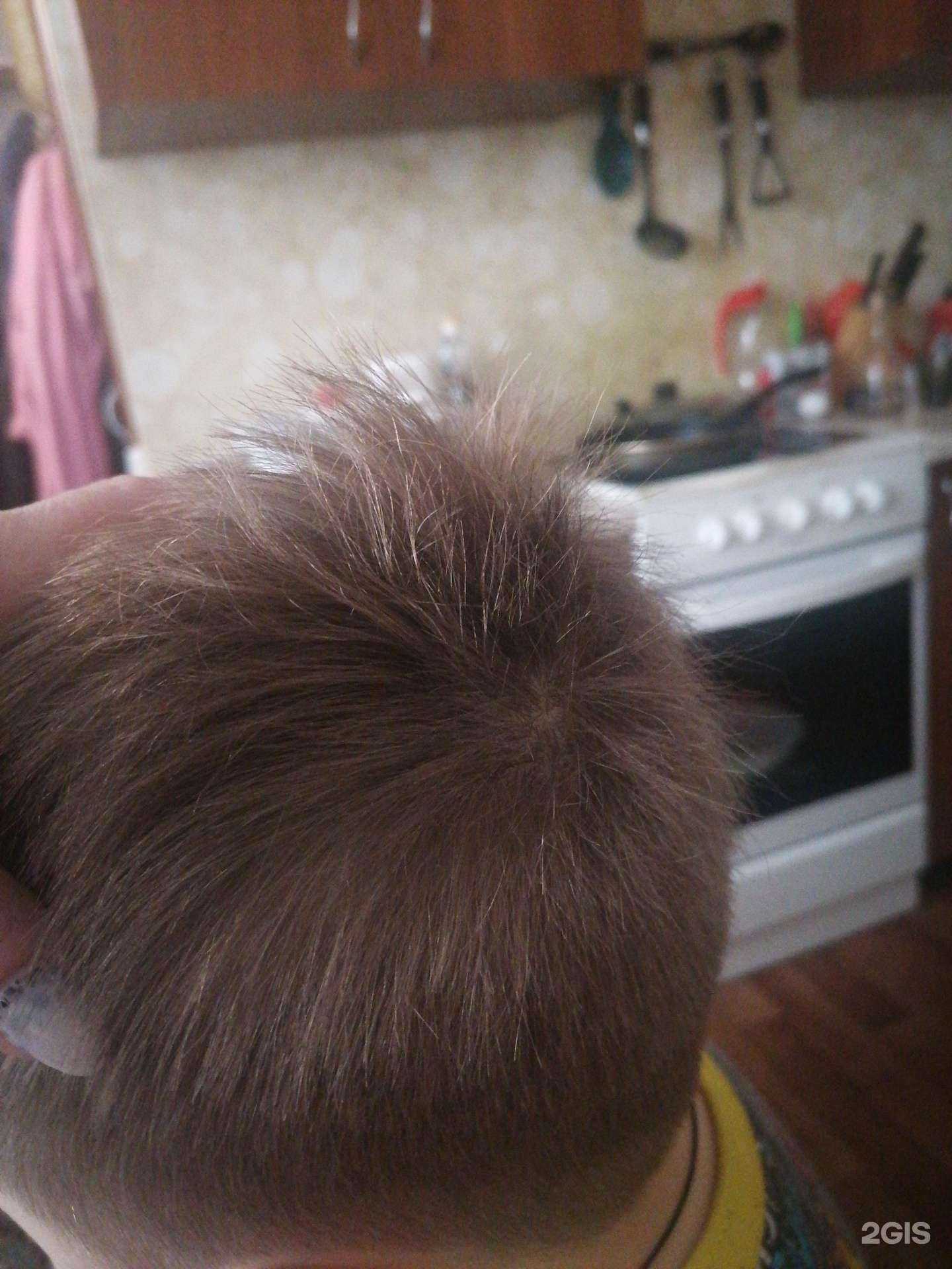 Отзывы на компанию Love hair в Иркутске c фото