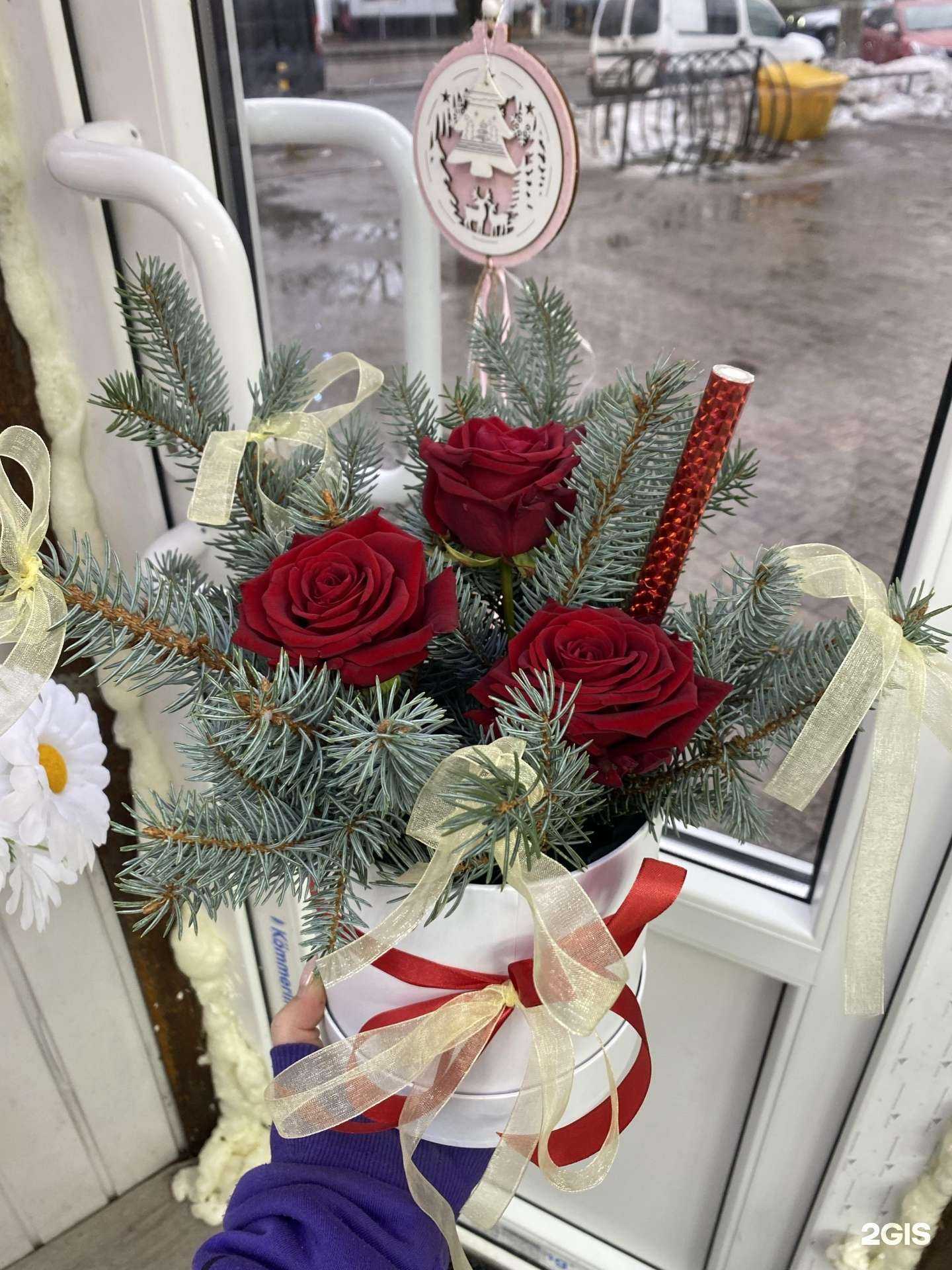 Отзывы на компанию Цветочки от Солнышка в г. Калининград c фото