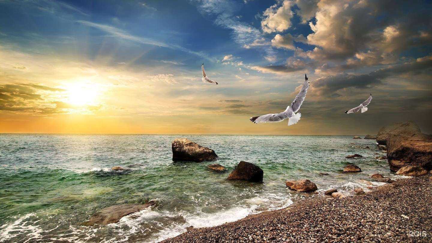 Отзывы на компанию Нептун в г. Сочи c фото