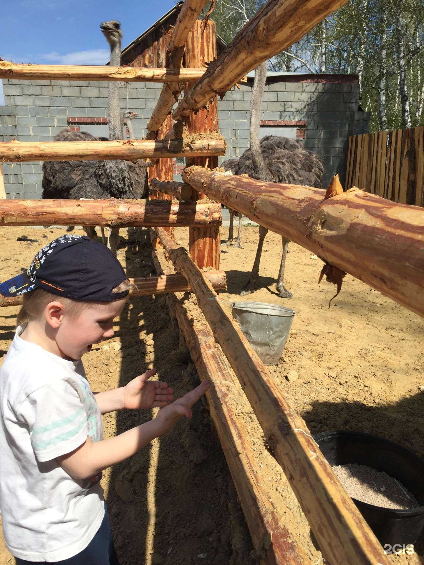 Отзывы на компанию Средняя школа №112 в г. Челябинск c фото