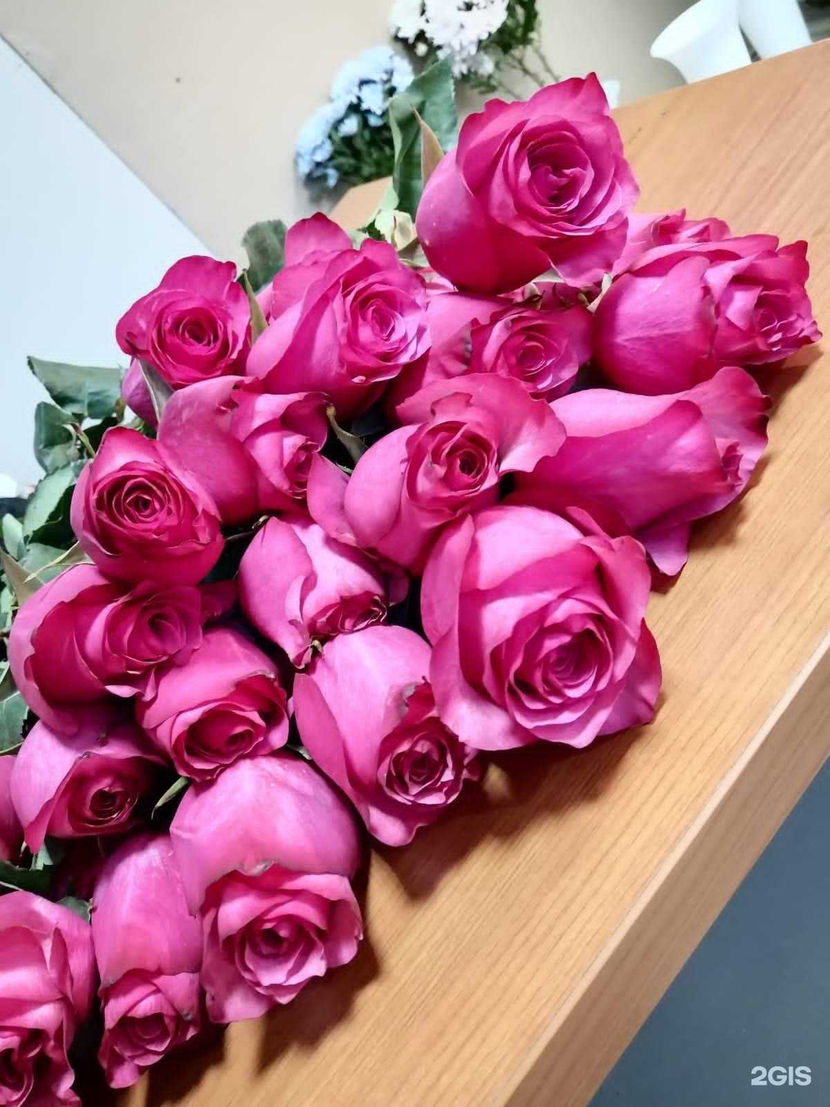 Отзывы на компанию Эдем в Омске c фото