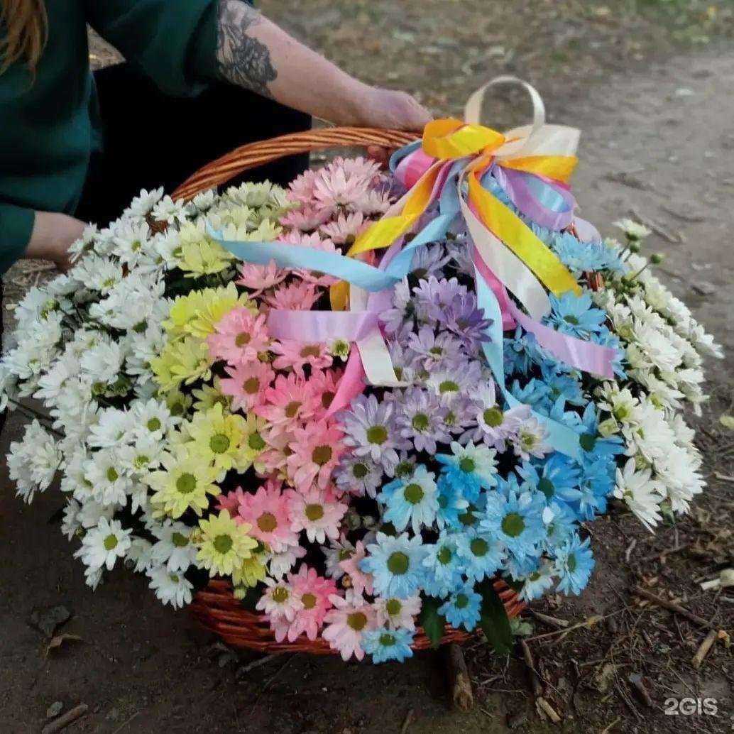 Отзывы на компанию Кактус в Волгограде c фото