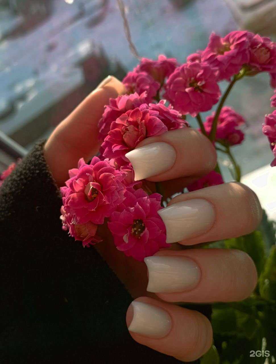 Отзывы на компанию Latyshov Nails Studio  в Хабаровске c фото