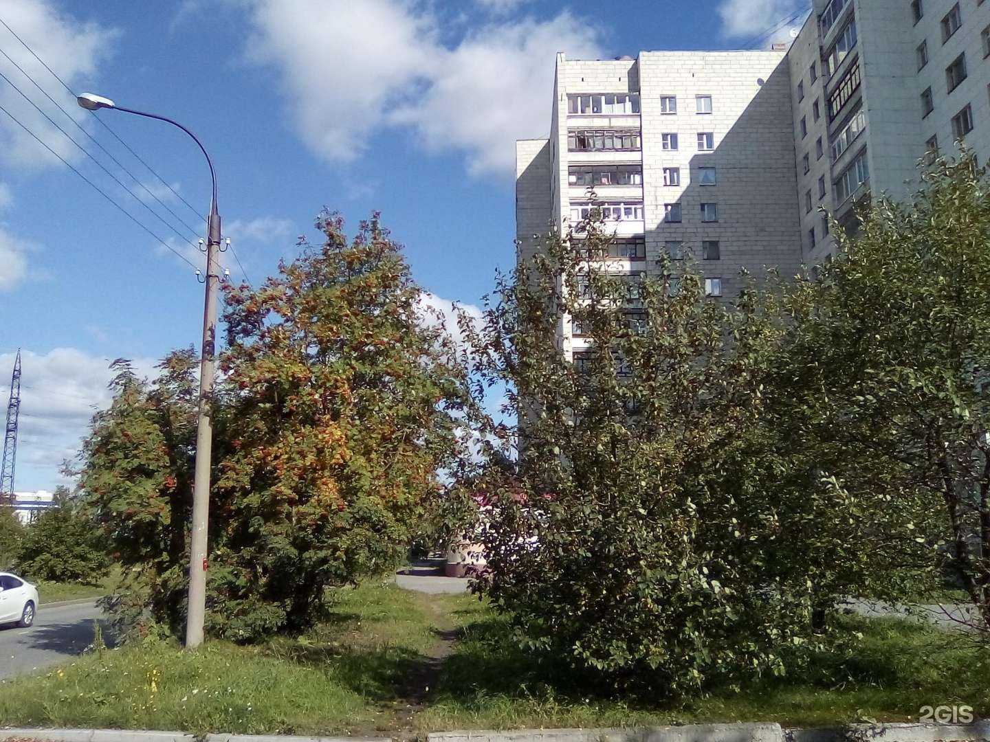 Отзывы на компанию Самокат в Екатеринбурге c фото - фотография 2 из 2