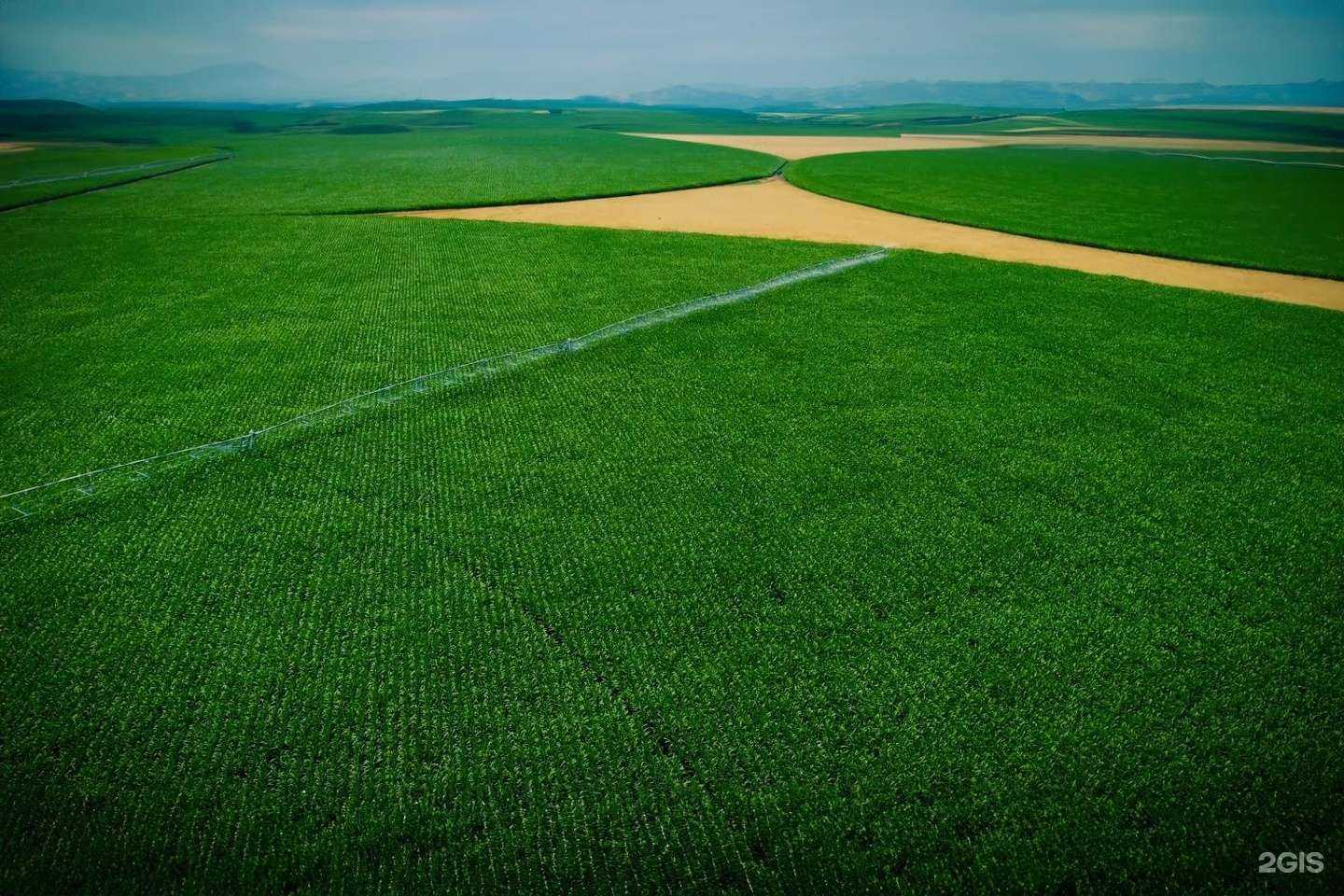 Отзывы на компанию Финагро трейд в Волгограде c фото