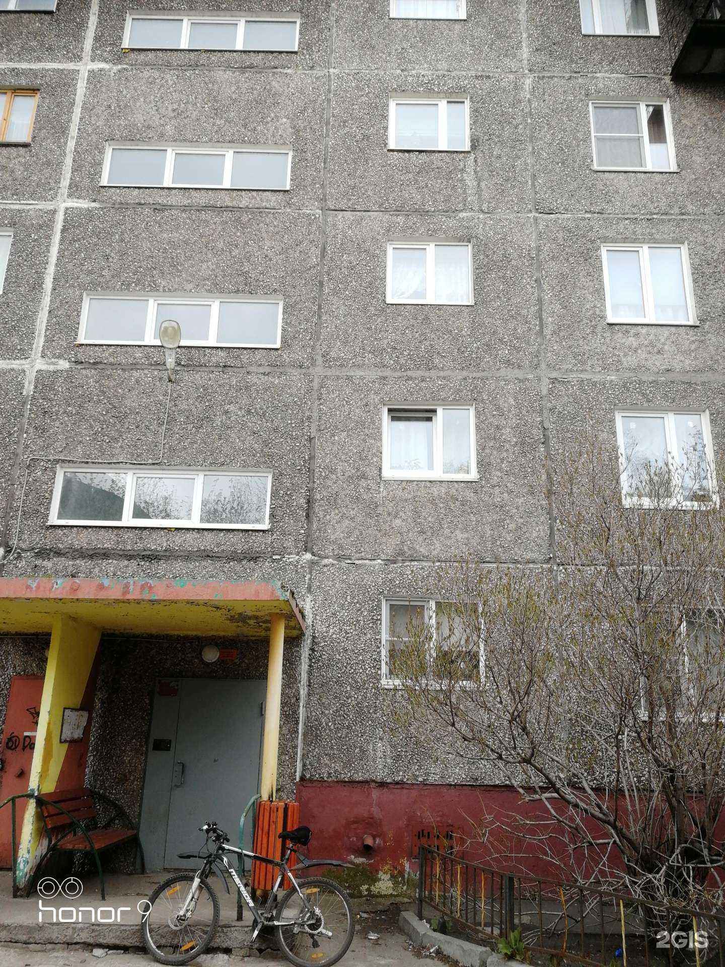 Отзывы на компанию пэтМарафет в Мурманске c фото - фотография 2 из 2