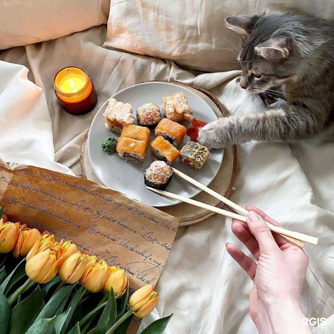 Отзывы на компанию Суши Wok в г. Ростов-на-Дону c фото