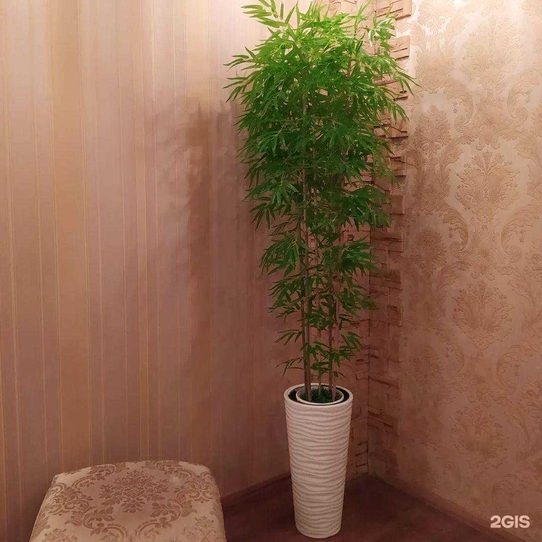 Отзывы на компанию Альрами в г. Казань c фото