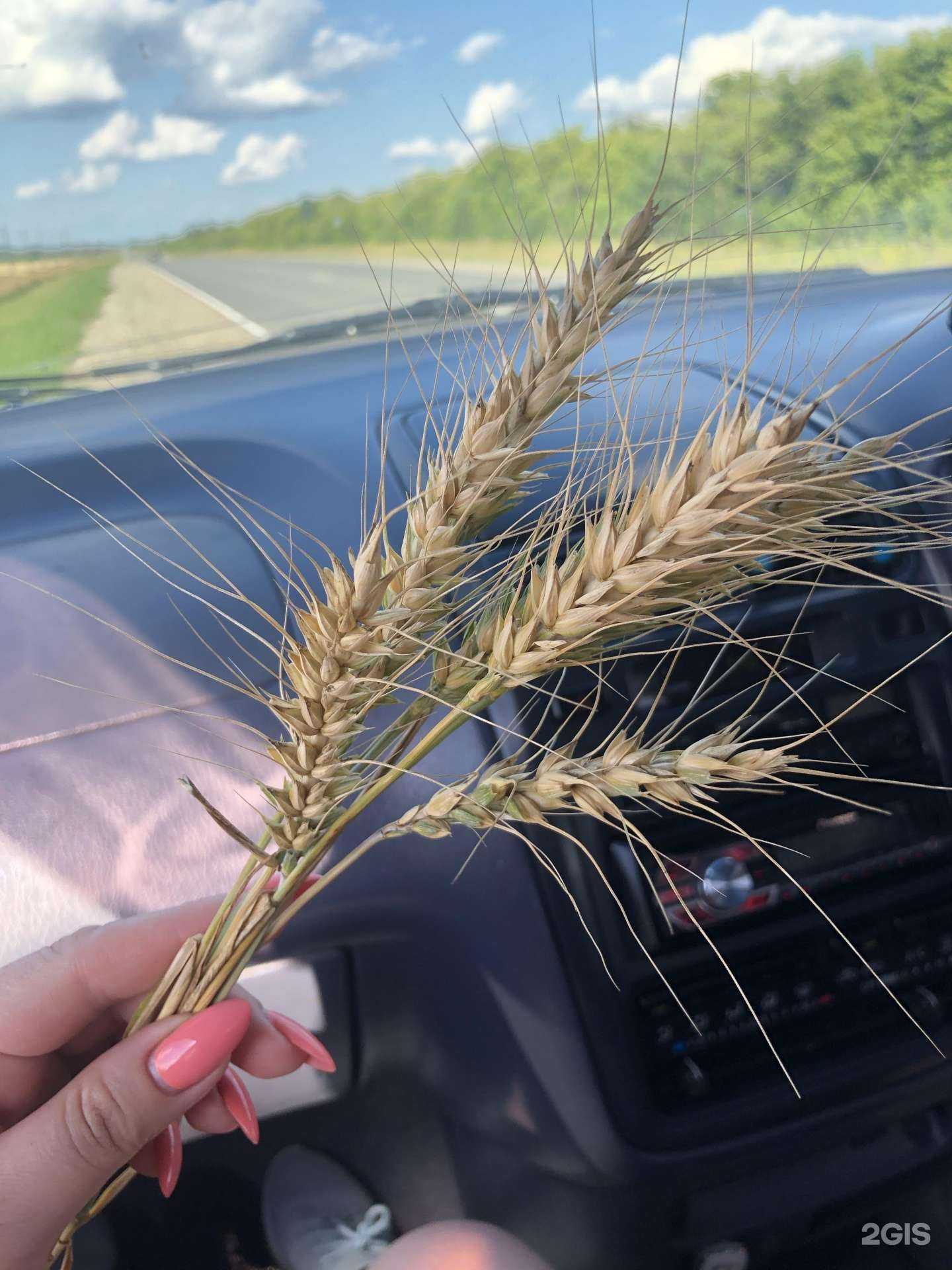 Отзывы на компанию Север-авто в г. Якутск c фото