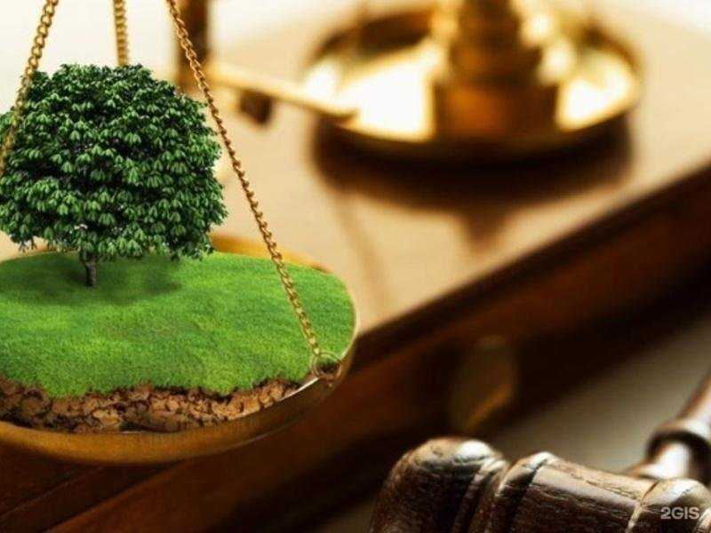 Отзывы на компанию Ведана в Ульяновске c фото