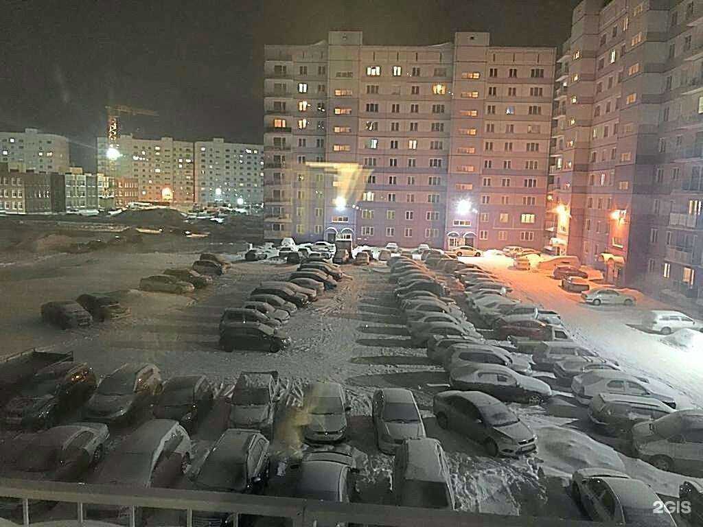 Отзывы на компанию Apizza? в Новосибирске c фото - фотография 2 из 2