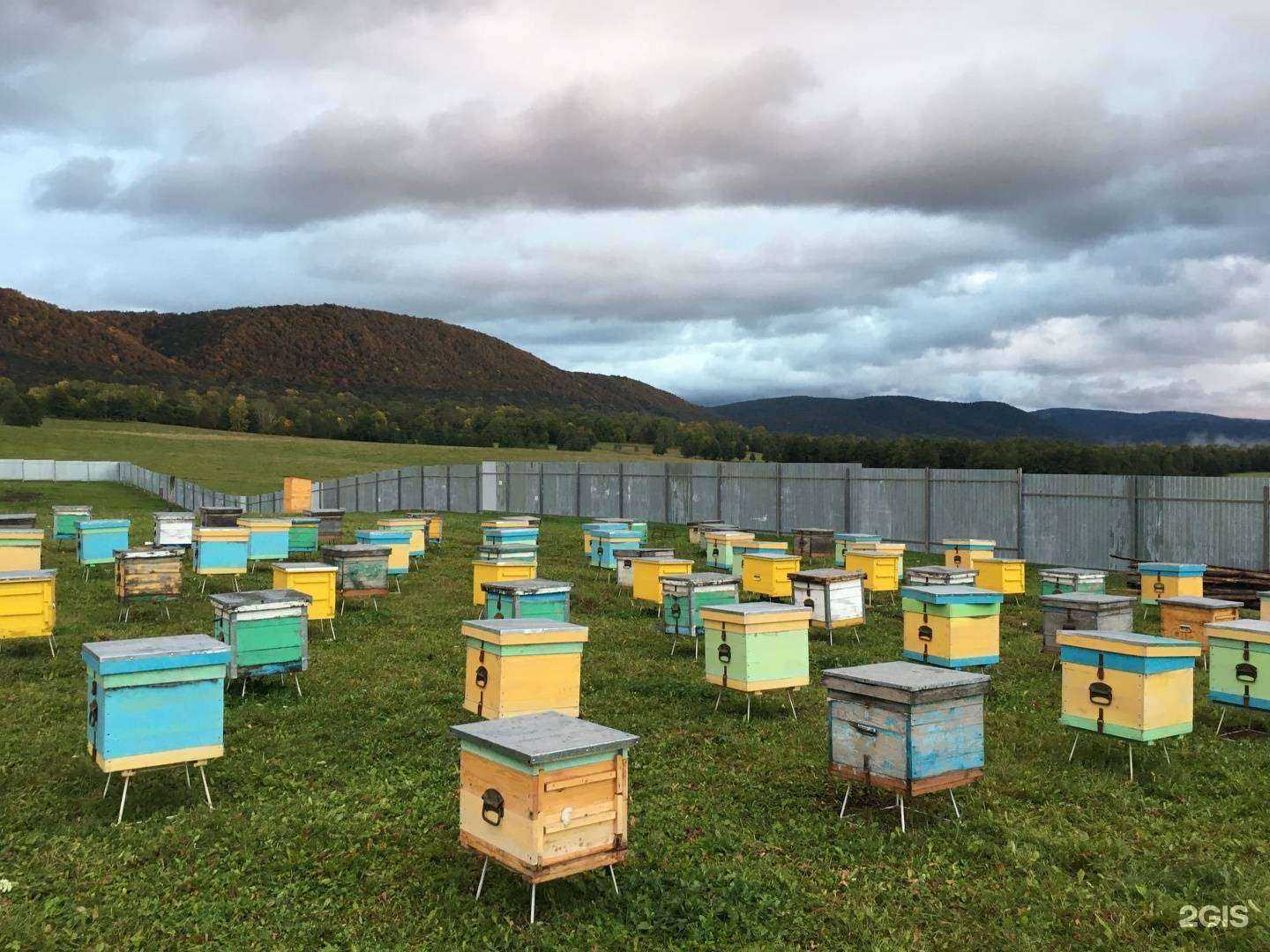 Отзывы на компанию Из Башкирской глубинки  в Стерлитамаке c фото