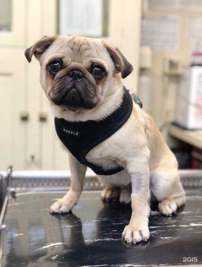 Отзывы на компанию Лорд в Нижнем Новгороде c фото