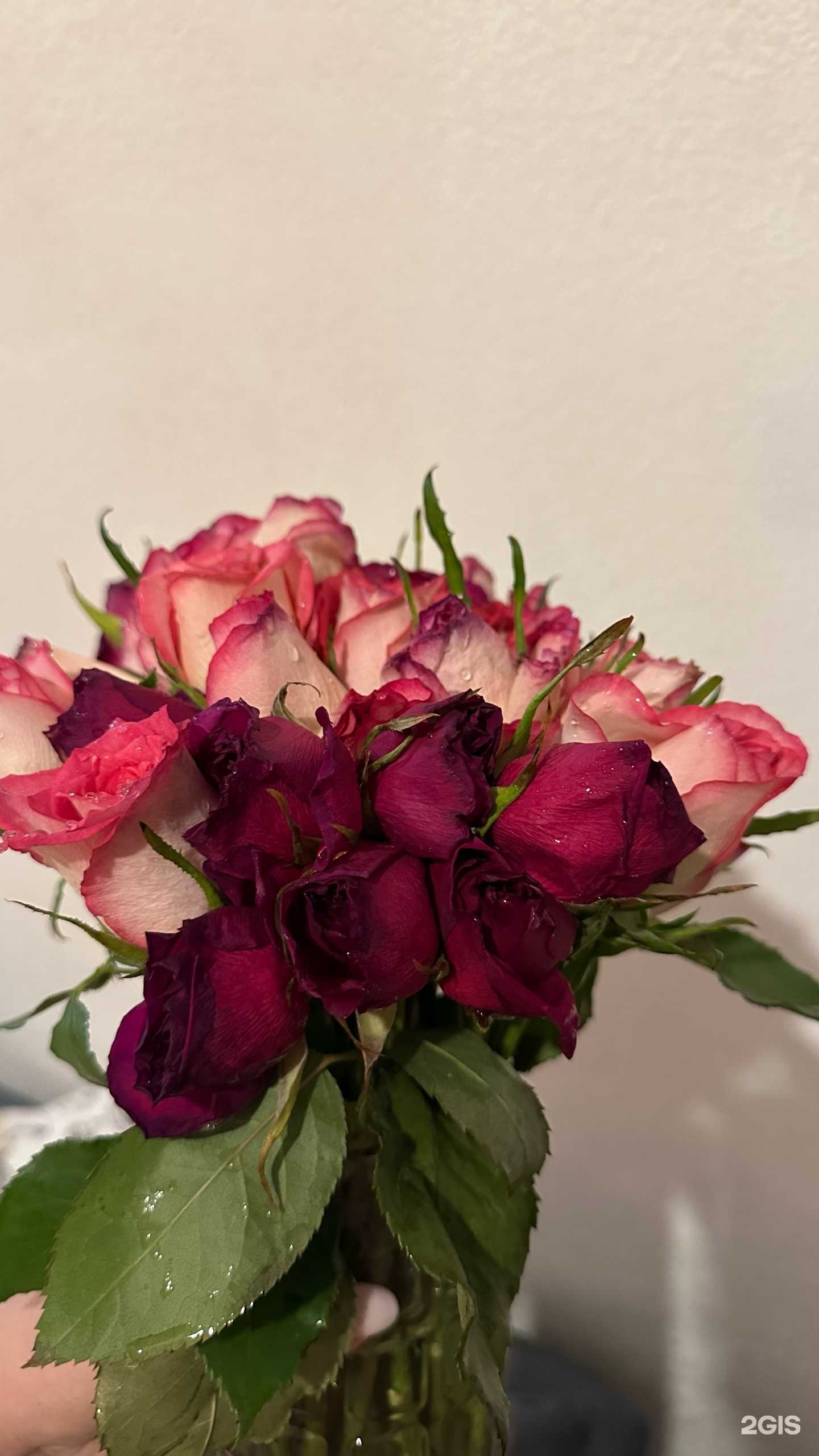 Отзывы на компанию Цветочный магазин в г. Ярославль c фото