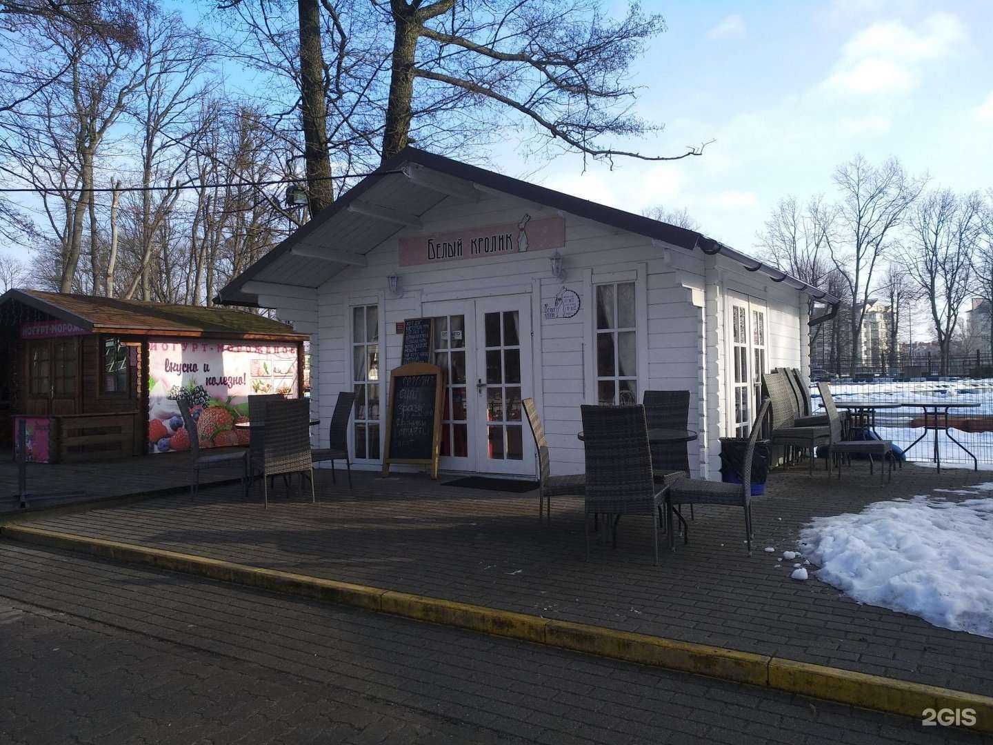 Отзывы на компанию Белый кролик в Калининграде c фото