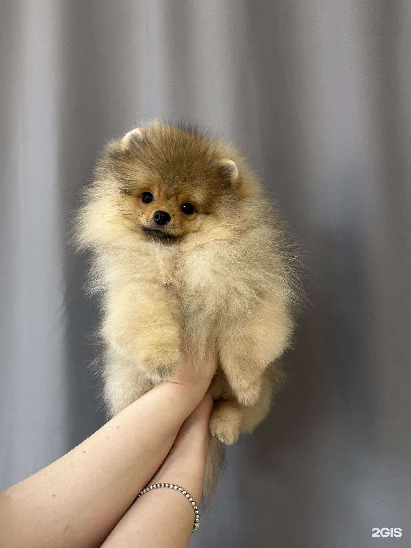 Отзывы на компанию Лайки в Красноярске c фото