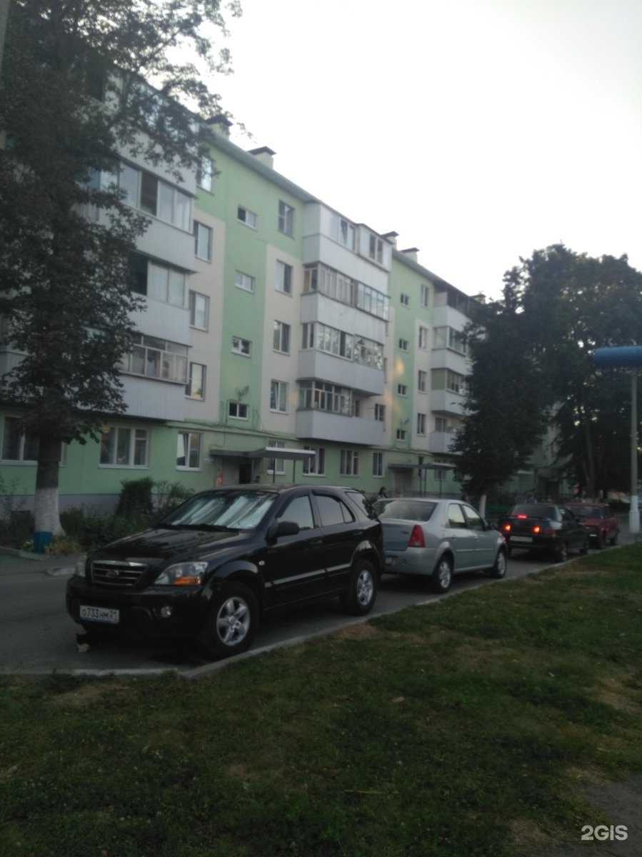 Отзывы на компанию LarkLand в Старом Осколе c фото - фотография 2 из 2