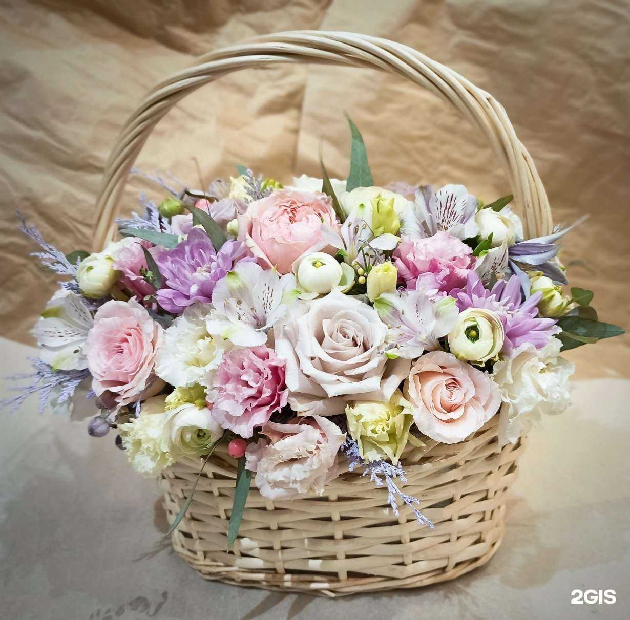 Отзывы на компанию Шар в г. Долгопрудный c фото