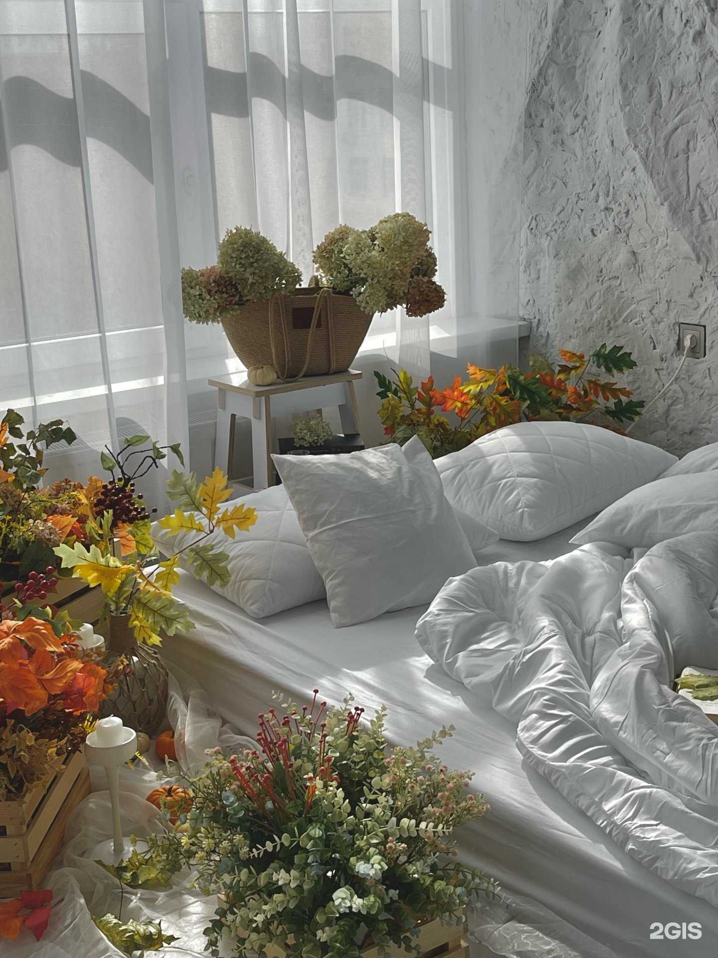 Отзывы на компанию Svetii.studio в г. Казань c фото