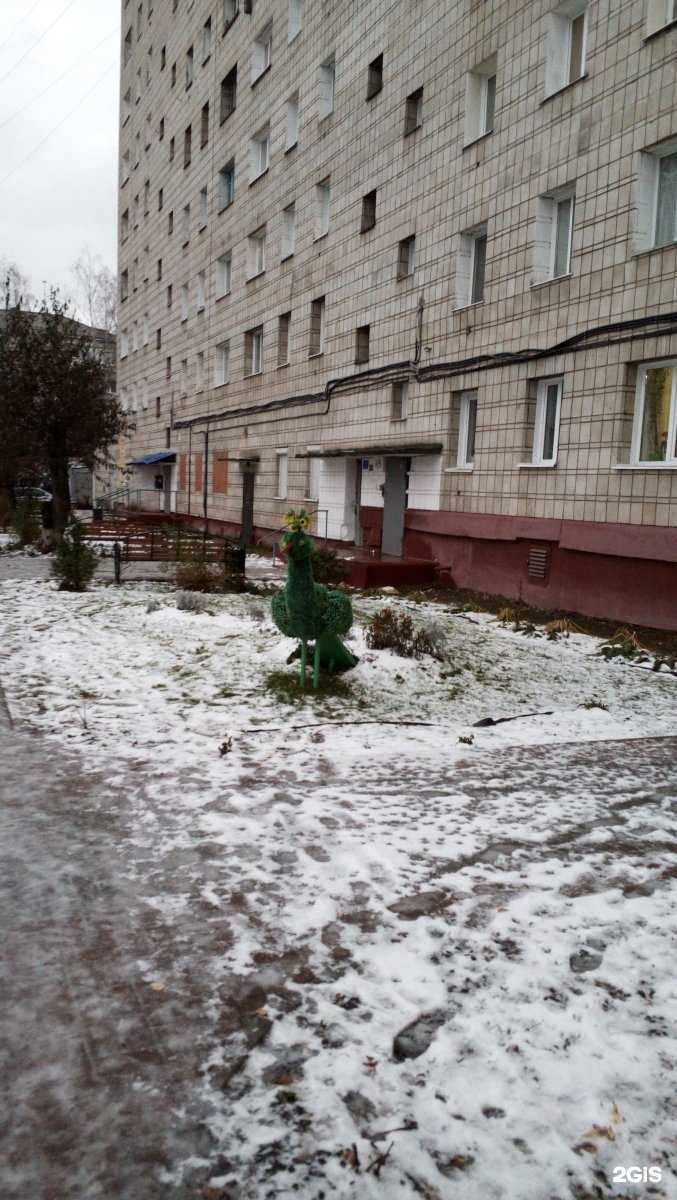 Отзывы на компанию Живой взгляд в Томске c фото - фотография 2 из 2