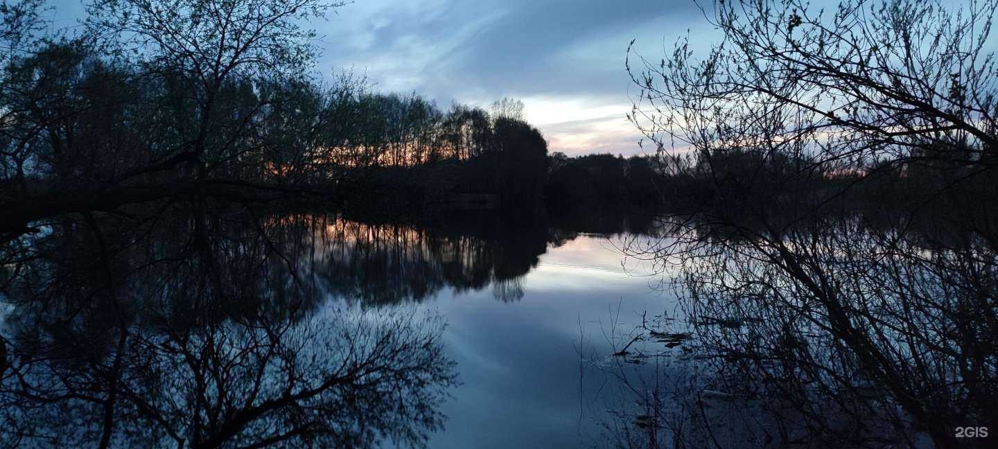 Отзывы на компанию Реамед в Воронеже c фото - фотография 2 из 2