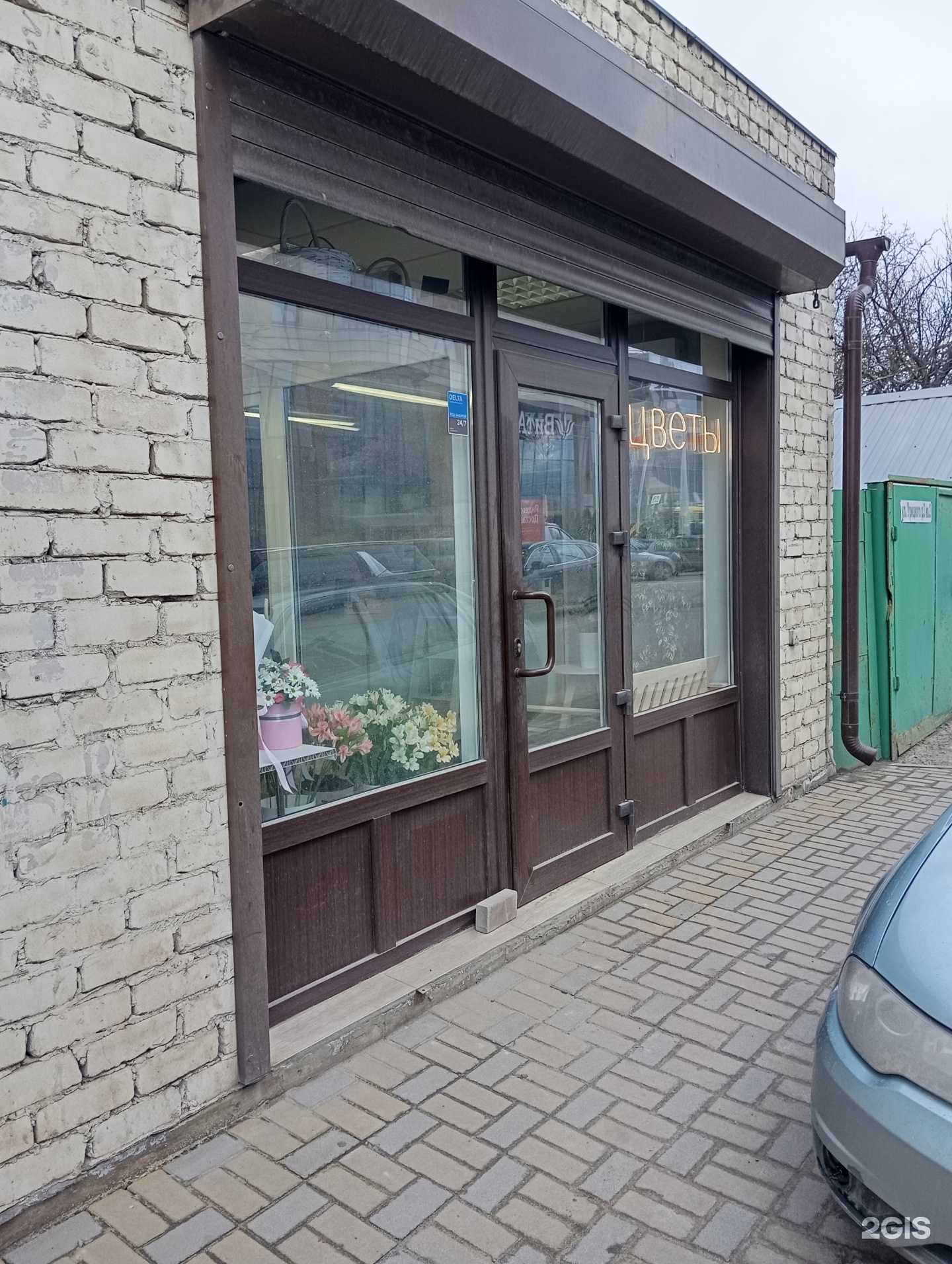 Отзывы на компанию Белый фикус в Воронеже c фото