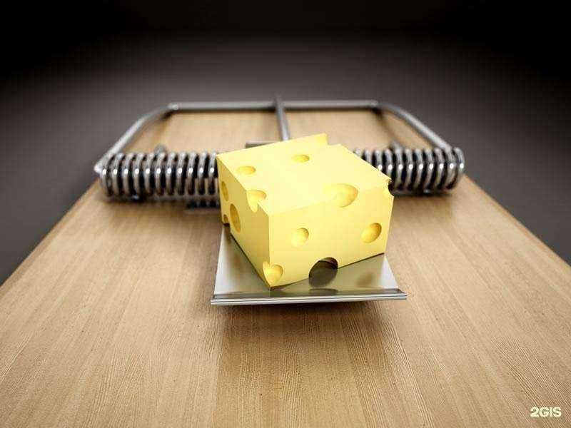 Отзывы на компанию Буква закона в г. Иркутск c фото