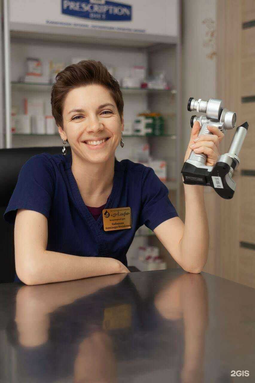 Отзывы на компанию Альфа в г. Балашиха c фото