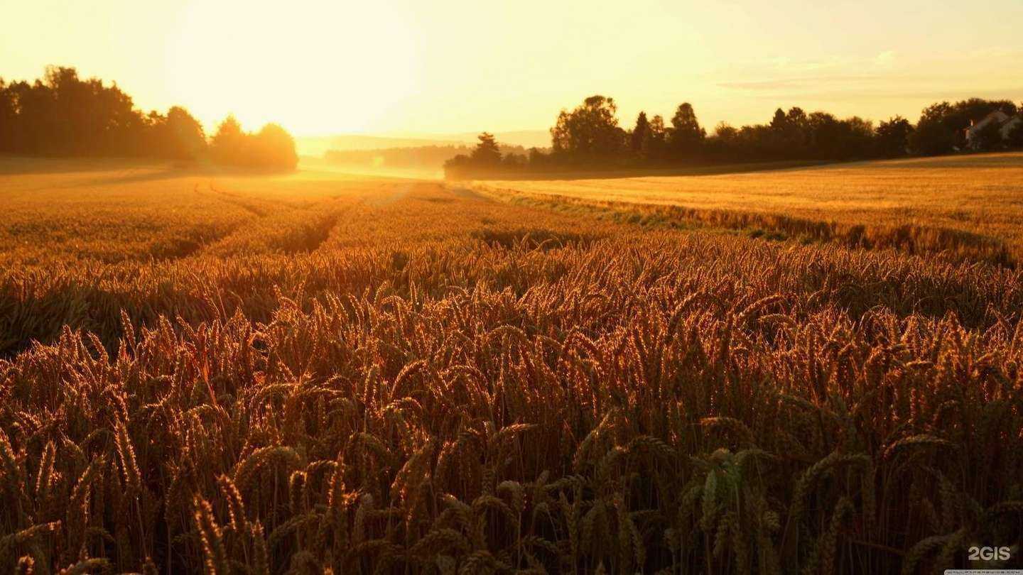 Отзывы на компанию Плантогран в г. Новороссийск c фото