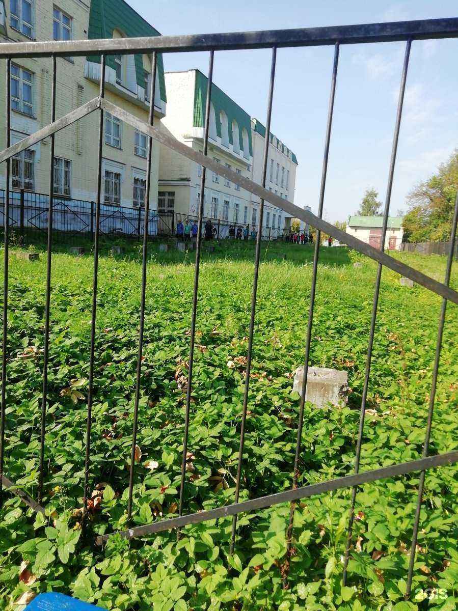 Отзывы на компанию Средняя школа №3 в г. Тверь c фото