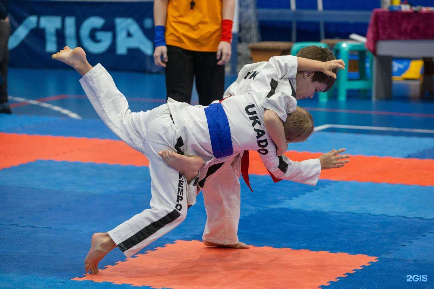 Отзывы на компанию Витязи в Липецке c фото