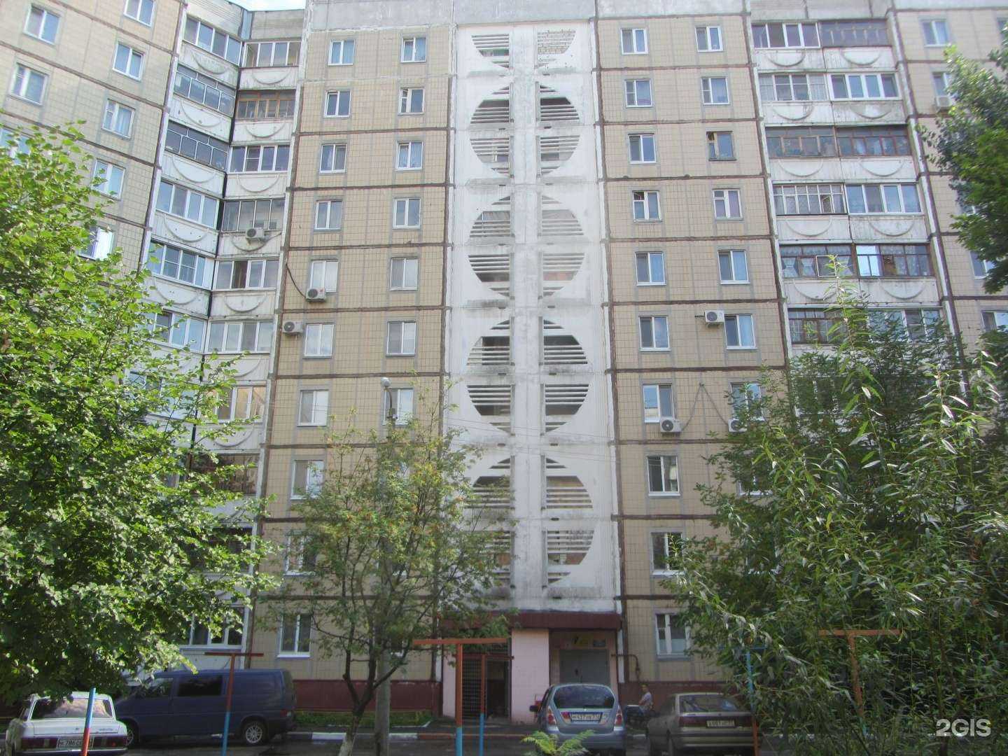 Отзывы на компанию Red Fox в Белгороде c фото - фотография 2 из 2