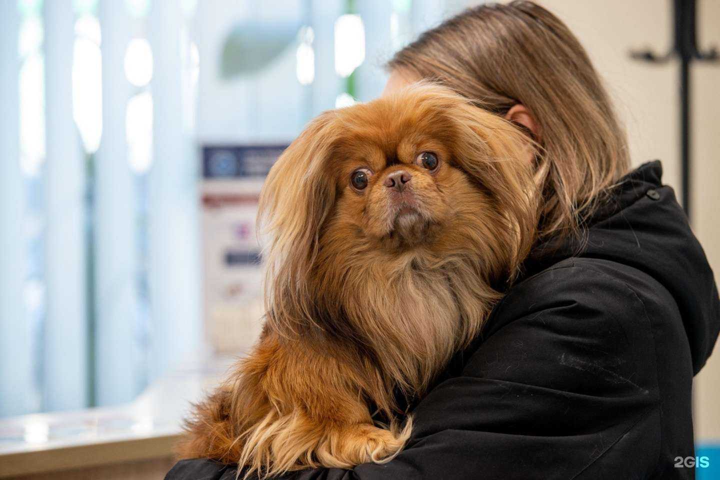 Отзывы на компанию Уфимская городская ветеринарная станция республики Башкортостан в Уфе c фото