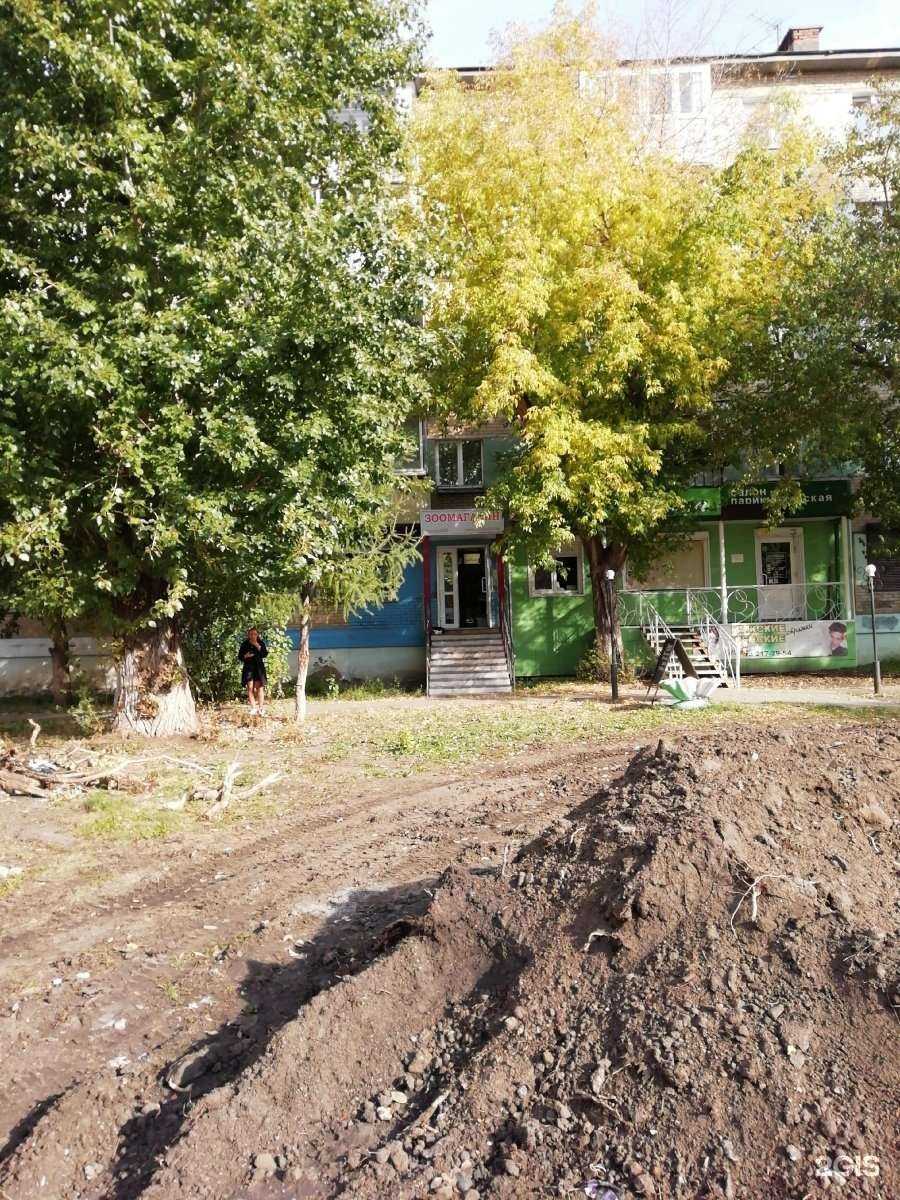 Отзывы на компанию Зоомир174 в г. Челябинск c фото