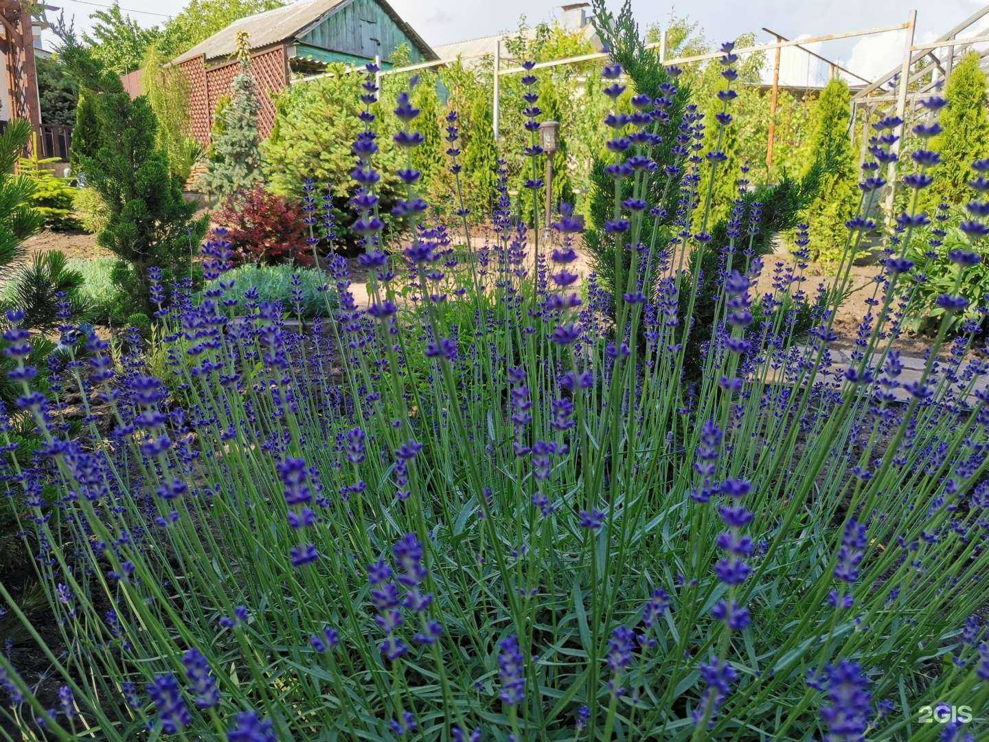 Отзывы на компанию Unicgard в Ростове-на-Дону c фото