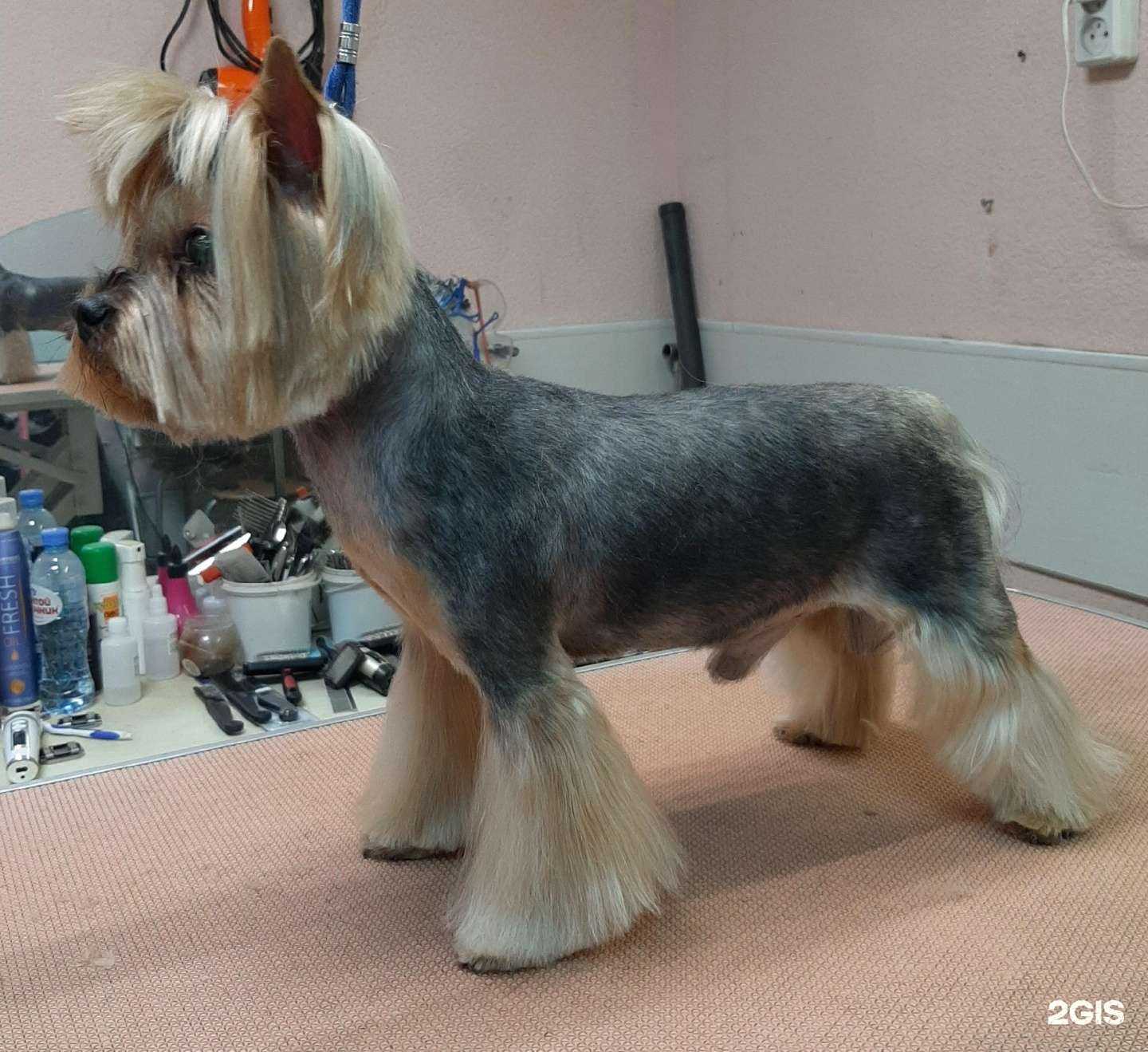 Отзывы на компанию Артемон в г. Пермь c фото